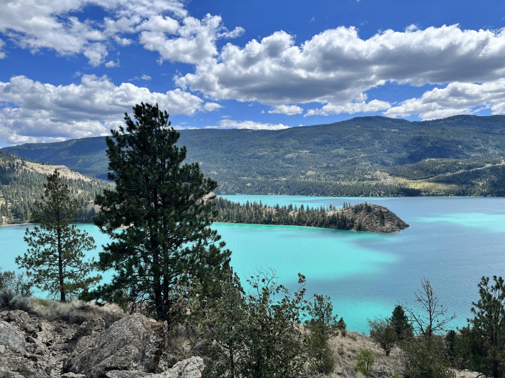 Kalamalka Lake from the cliffs above, turquoise water stretching between forested hills — five minutes from Schell Motel in Vernon, British Columbia