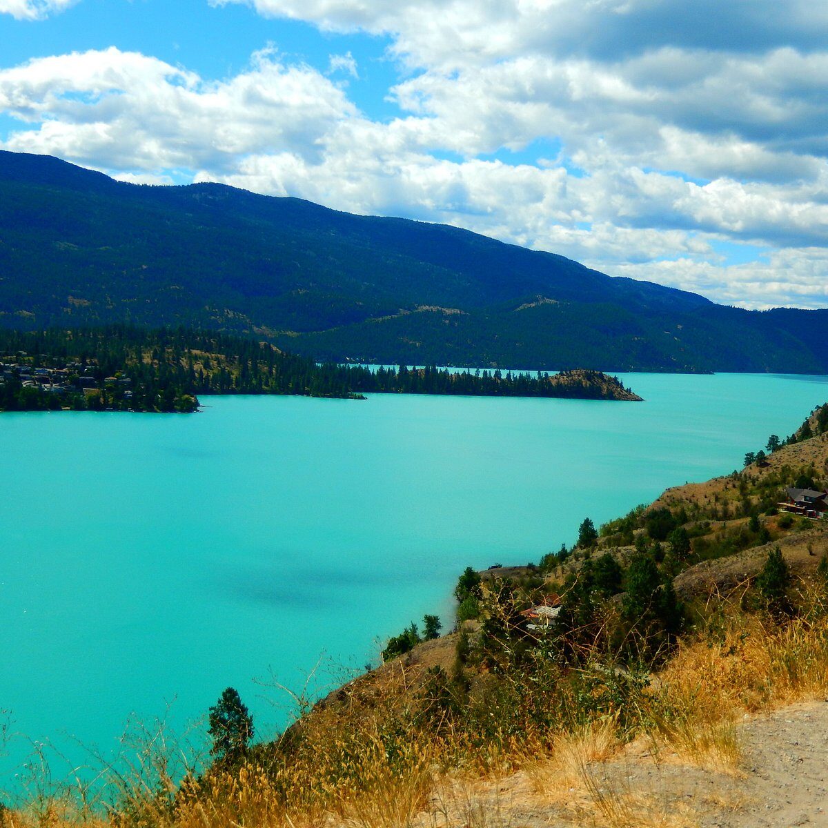 Summer on Kalamalka Lake — turquoise water below the hills outside Vernon